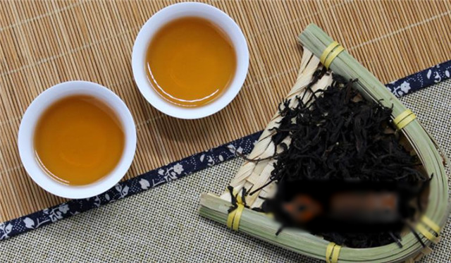 相机镜头是镜，相机镜头是镜，捕捉世界的灵魂之窗
